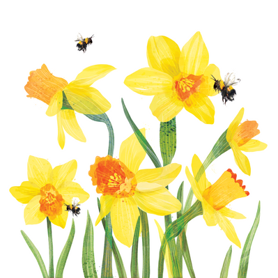 daffodils final